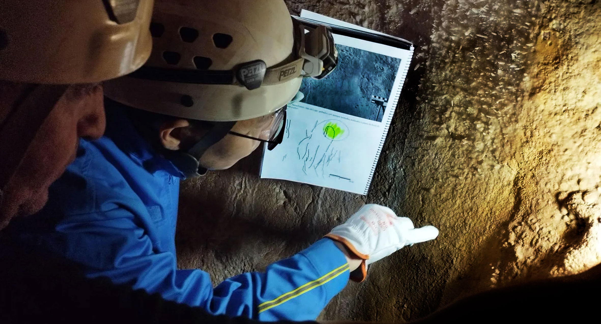 Grafica Neandertal Humano