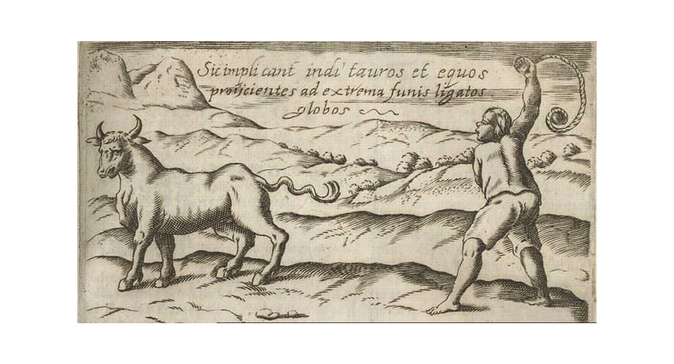 Modo De Lacear Toros Y Caballos
