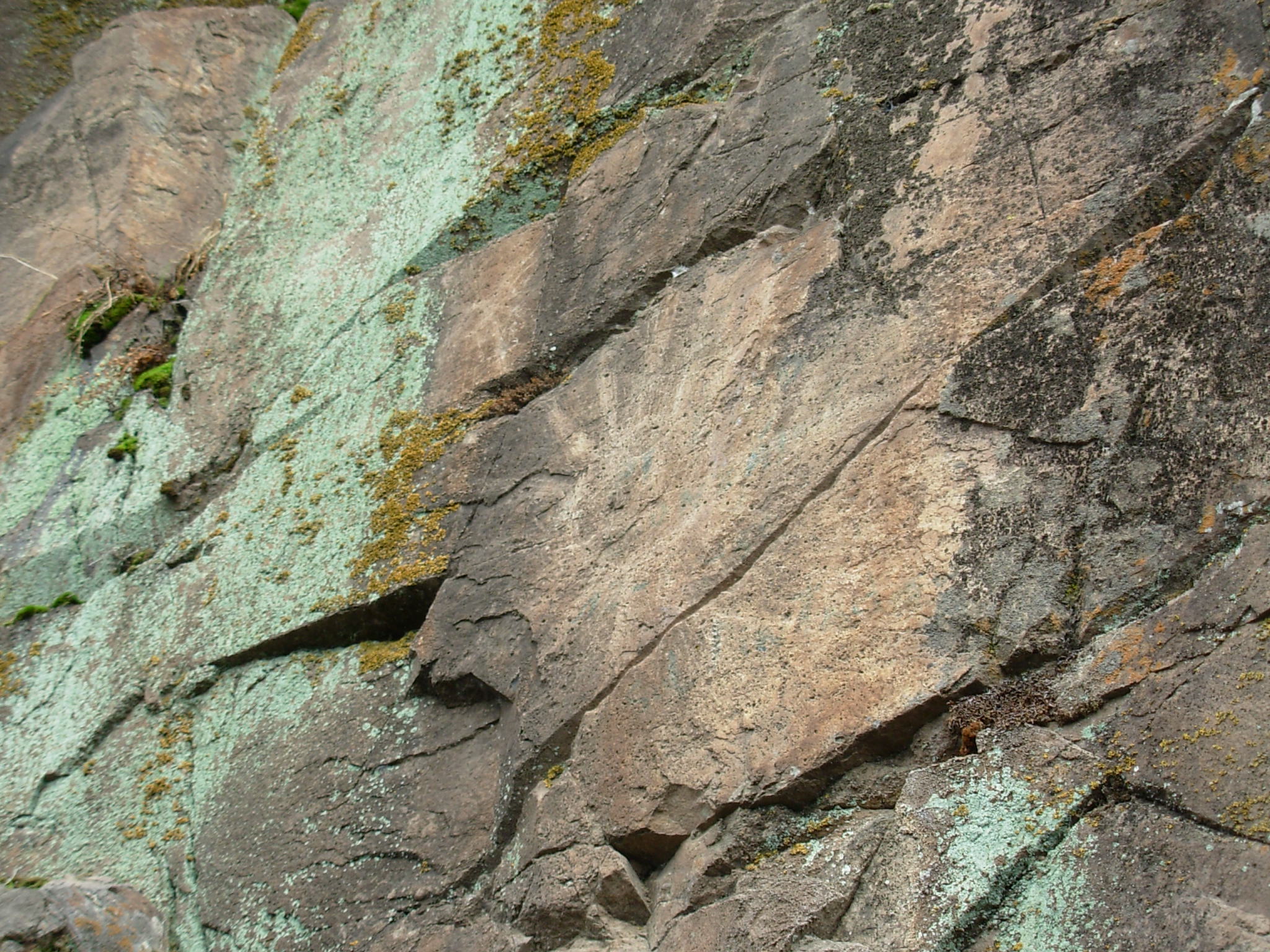 Sol Pintado 2